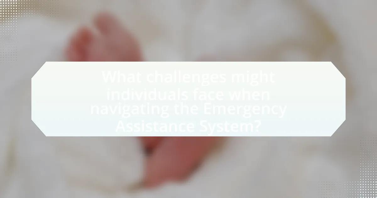 What challenges might individuals face when navigating the Emergency Assistance System?